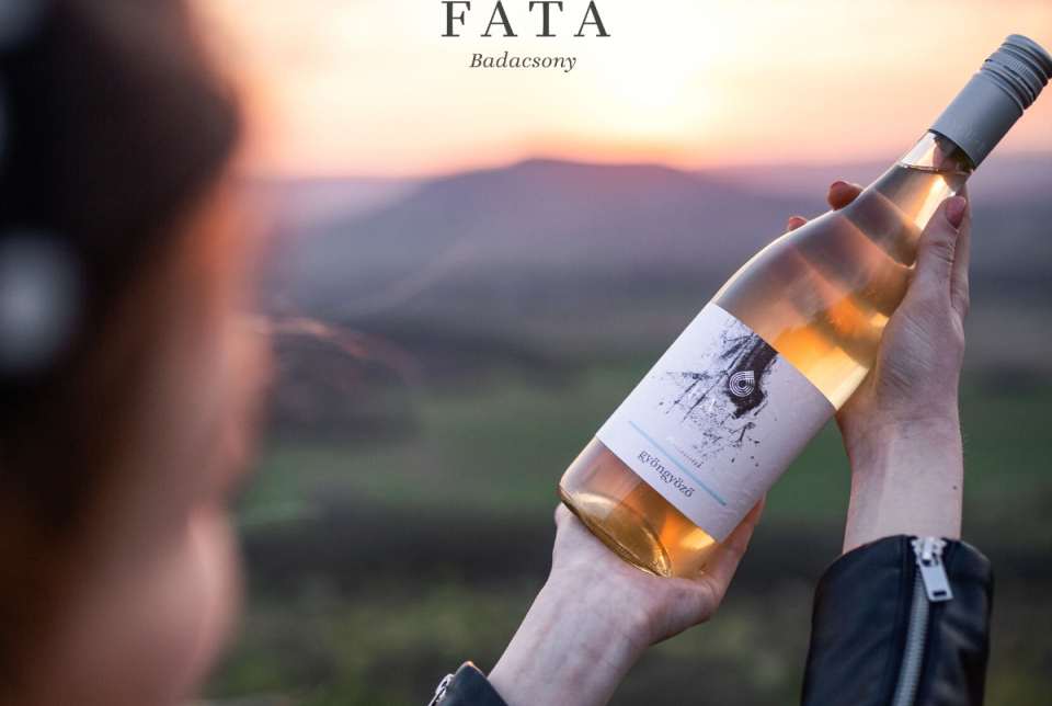 Fata Pince megnyitó
