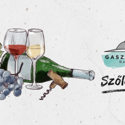 Gasztrohegy • Szőlő és bor