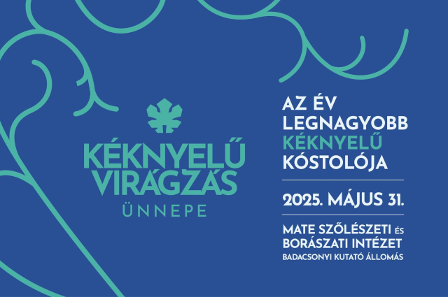 Ismét virágzik a Kéknyelű Badacsonyban: május végén érkezik az év legnagyobb Kéknyelű kóstolója