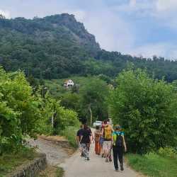 Túraútvonal a Szent György-hegyen - Badacsonyi Turisztikai és Borút Egyesület