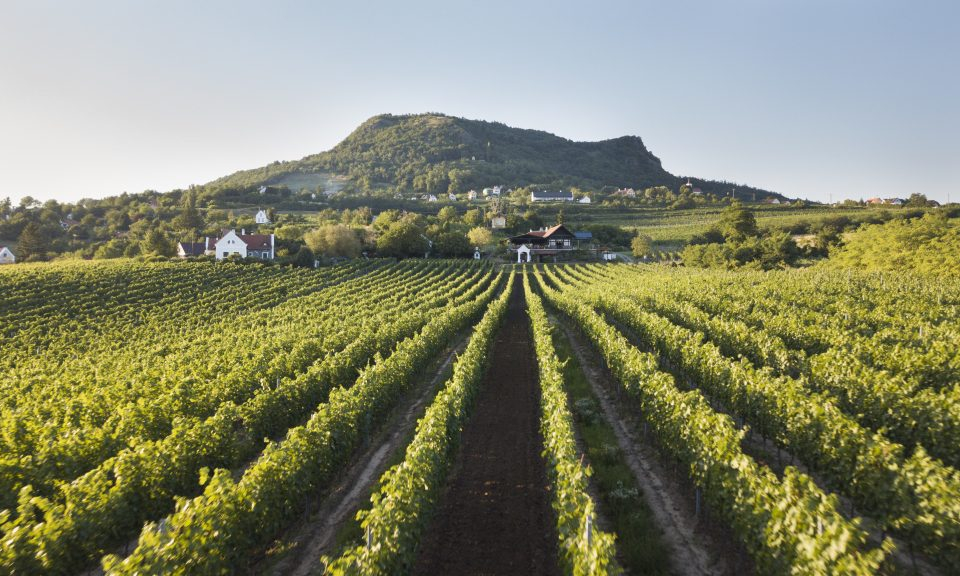 Szent György-hegy a Szászi Birtokról