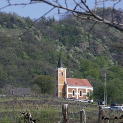 XXXI.Szent György-hegyi Napok