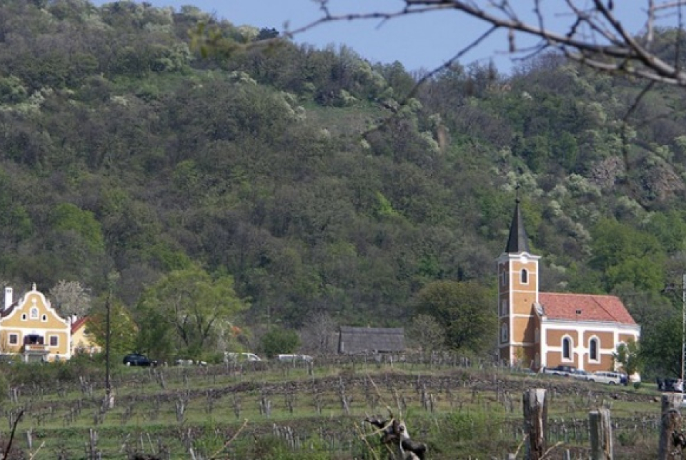 XXXI.Szent György-hegyi Napok