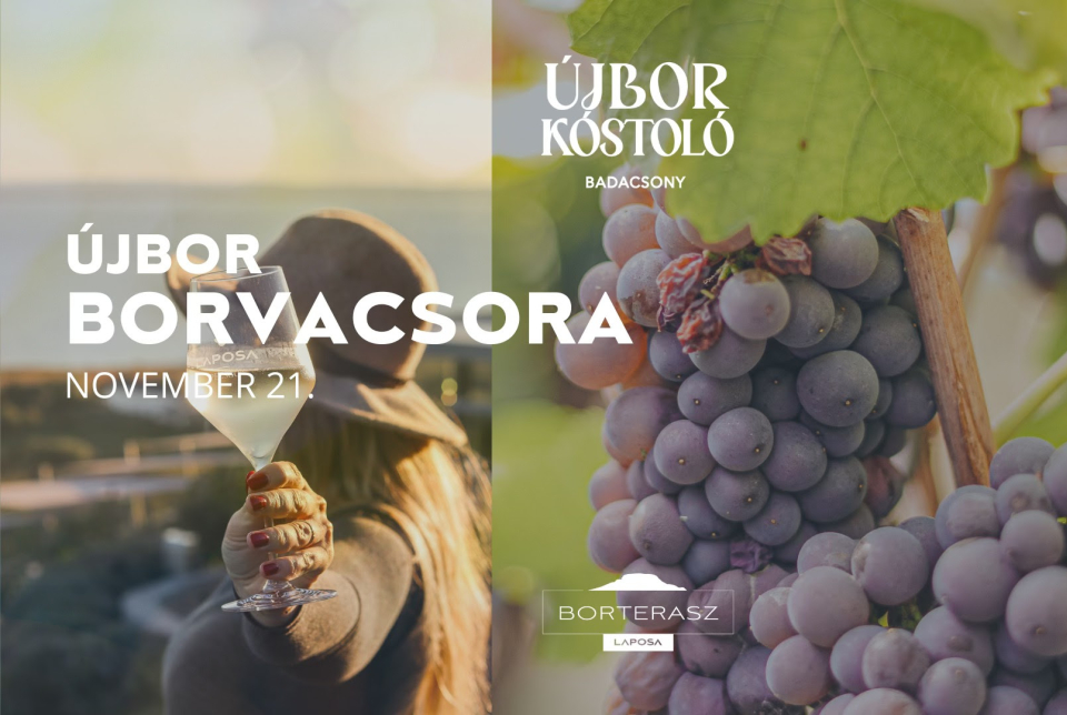 Laposa Marketing