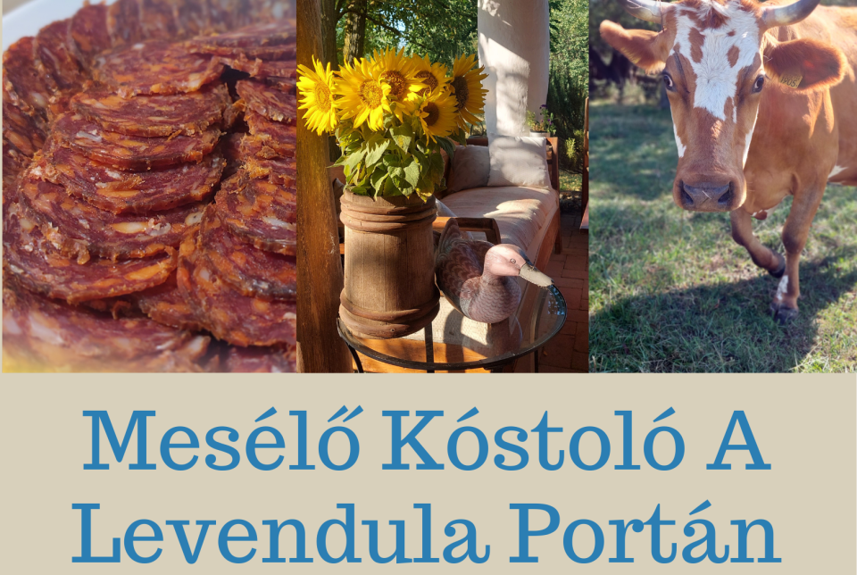 Mesélő Kóstoló – ahol az ízek történeteket mesélnek- Levendula Porta