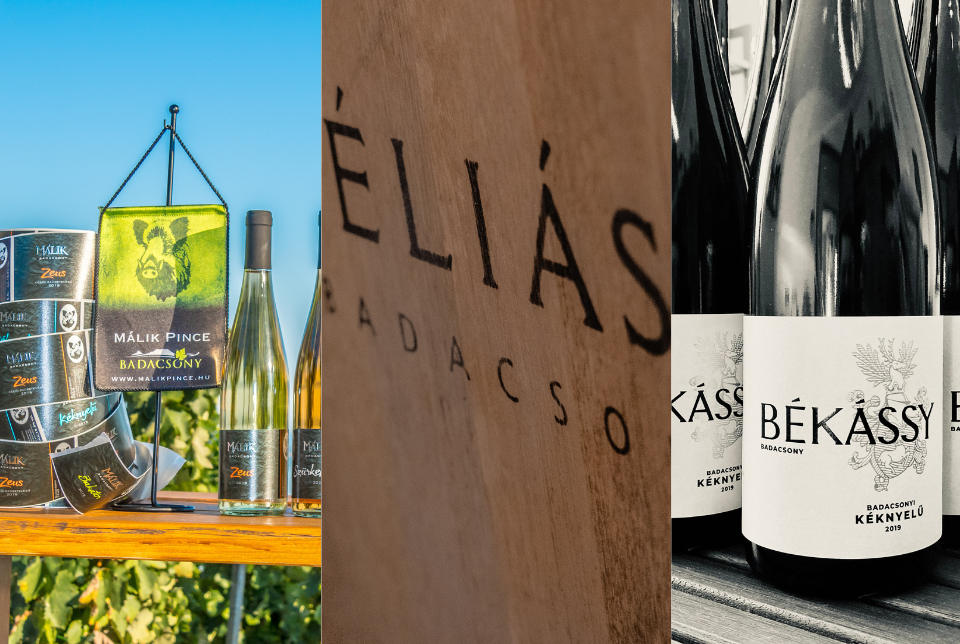 Vezetett bortúra Badacsonyban – dűlők, borok és panoráma