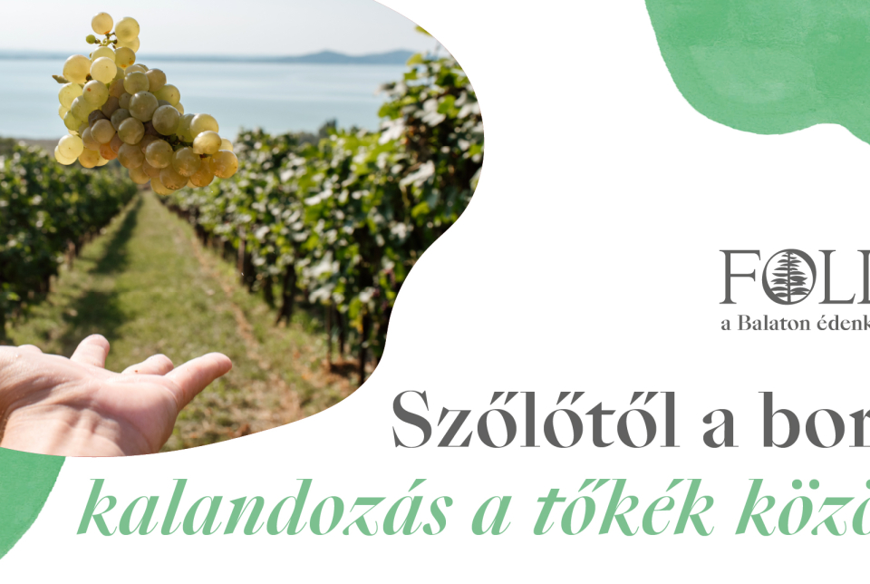 Birtokséta kóstolóval – kalandozás a tőkék között a Folly Arborétumban