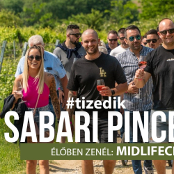 Tizedik Sabari Pincetúra