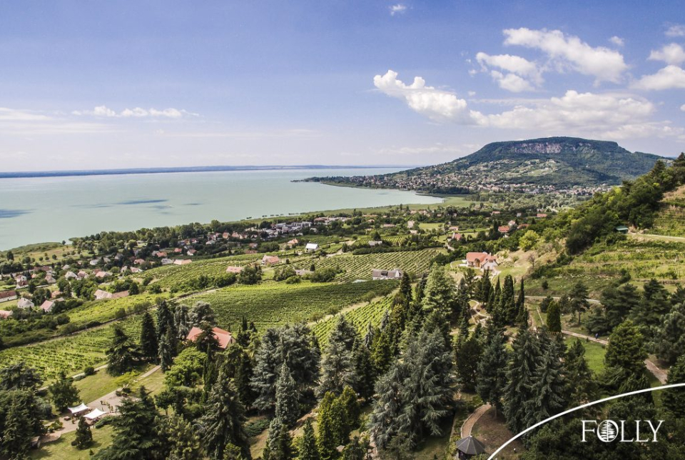 Panoráma a Folly Arborétum kilátójából - Folly Arborétum és Borászat