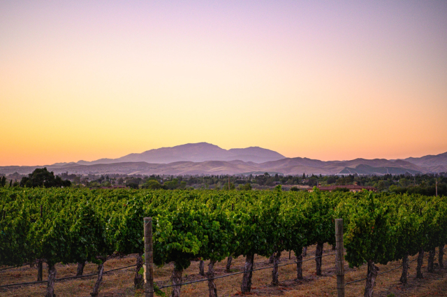 Első évfordulóját ünnepli a borvidékek nemzetközi szövetsége, a The Global AVA