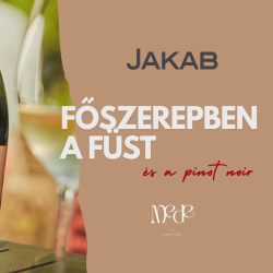 Vendég a vinotékában: Mede Ádám