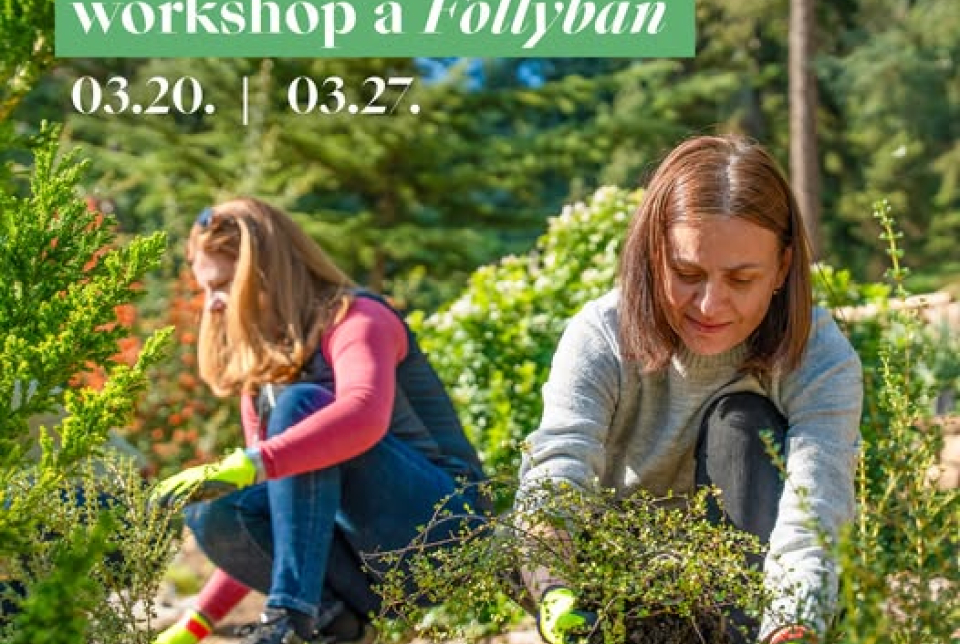 Szárazságtűrő kertalkotás workshop a Follyban