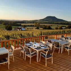 Vezetett bortúra a Tóti-hegy körül