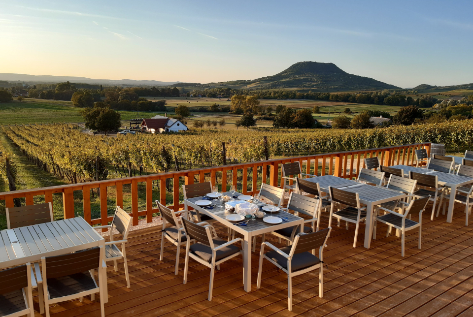 Vezetett bortúra a Tóti-hegy körül