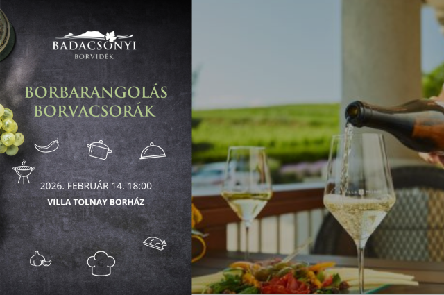 Villa Tolnay Borház