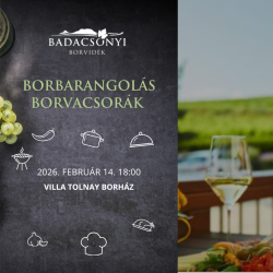 Borbarangolás Borvacsorák – Villa Tolnay Borház