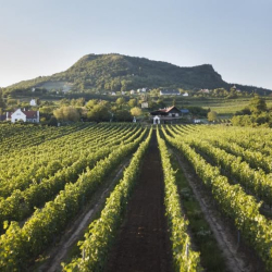 Őszi vezetett túra a Szent György-hegyen