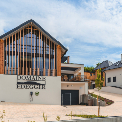 Hangolódj a húsvétra egy kreatív, délutánnal Badacsonyban!