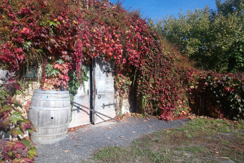 Pünkösdi Nyitott Pince a Négy80 Pincészetben