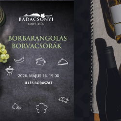 Borbarangolás Borvacsorák - Illés Borászat