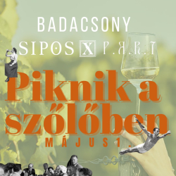 Piknik a szőlőben - Sipos Borház