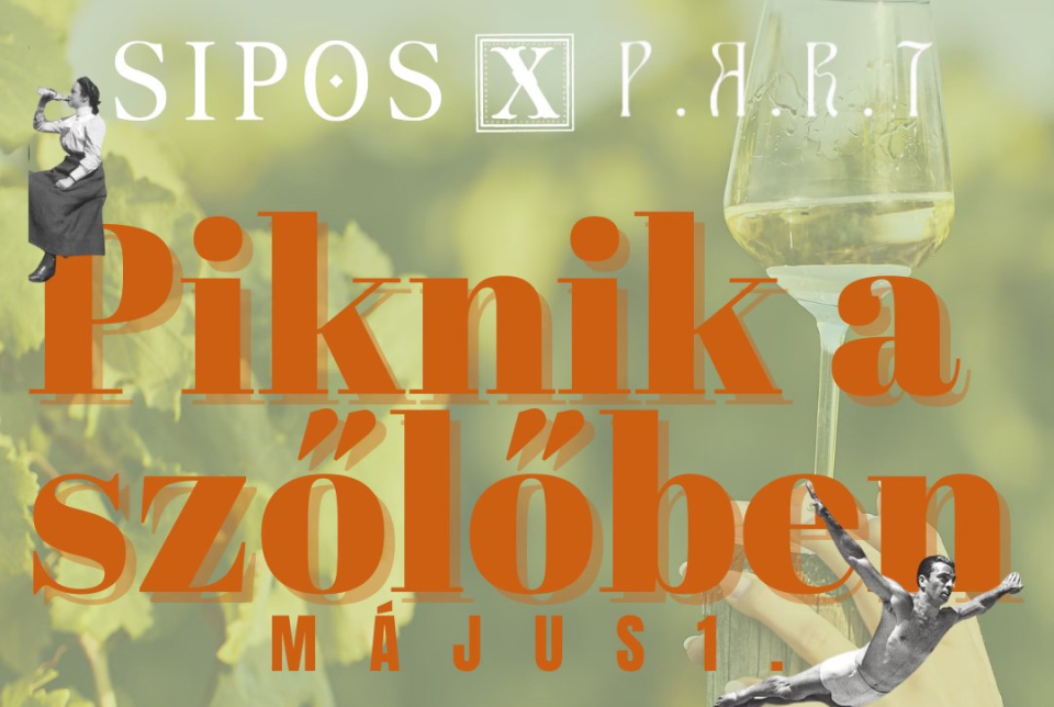 Piknik a szőlőben - Sipos Borház