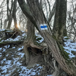 Óévbúcsúztató túra a Badacsonyon