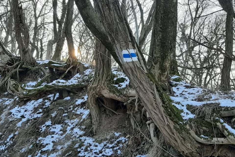 Óévbúcsúztató túra a Badacsonyon