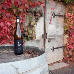 Vezetett borkóstoló a Négy80 Borászatban