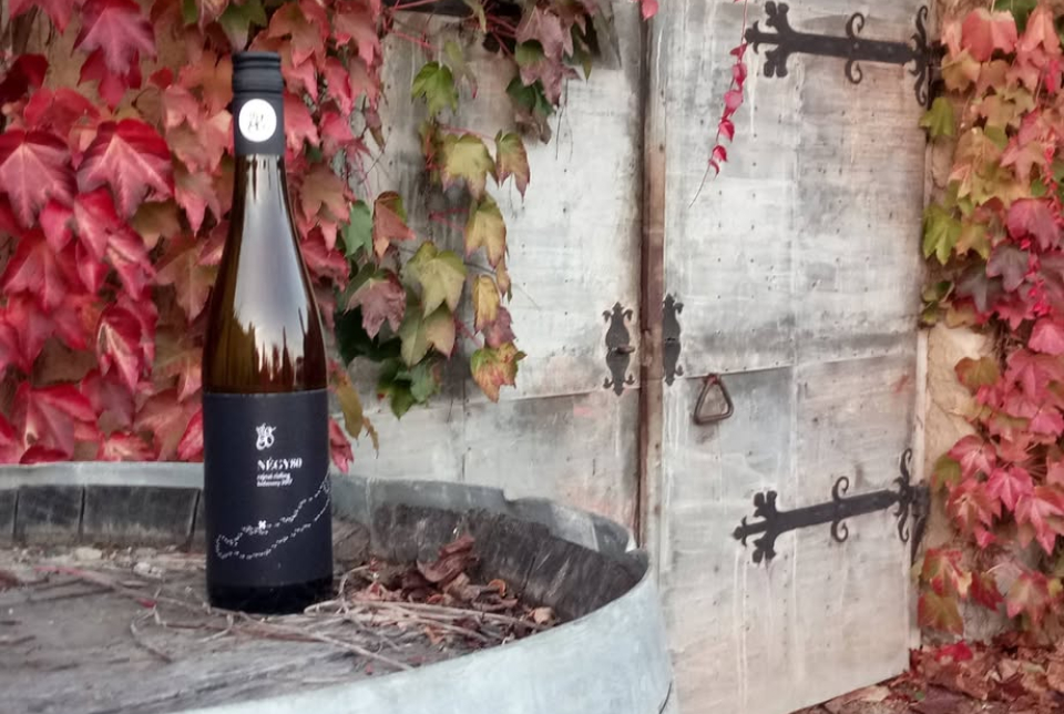 Vezetett borkóstoló a Négy80 Borászatban