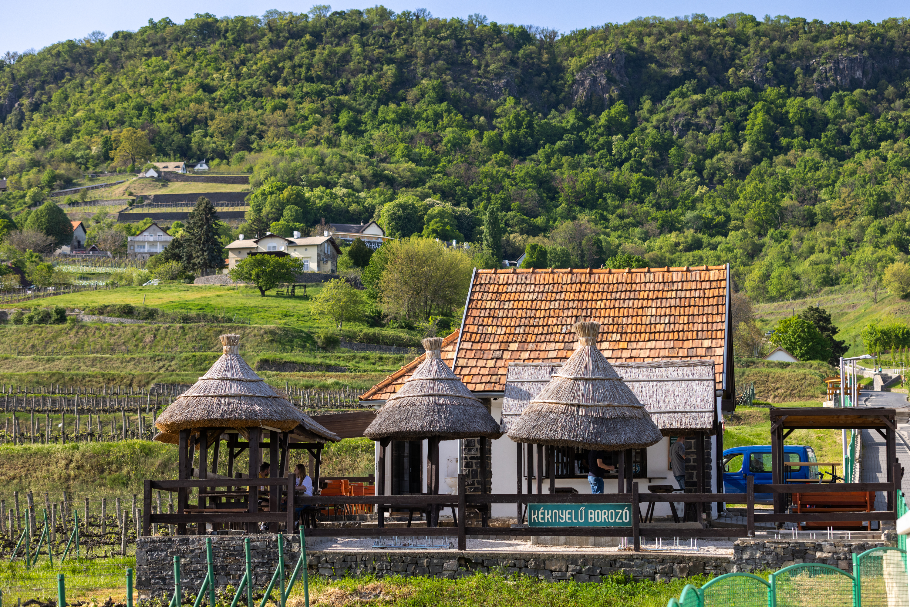 Nandor Lang - © Nandor Lang Nandor Lang