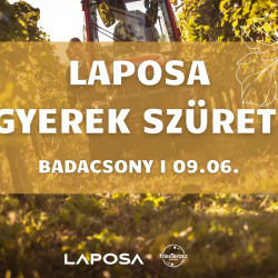 Laposa Marketing