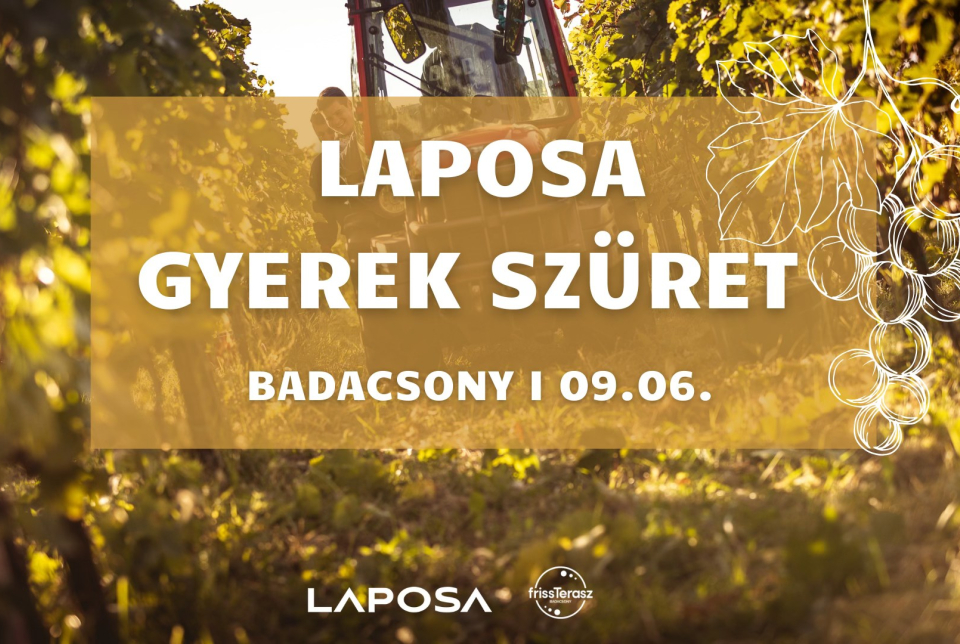 Laposa Marketing