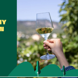 Taste Balaton Fesztivál - Étel, ital & Kultúra