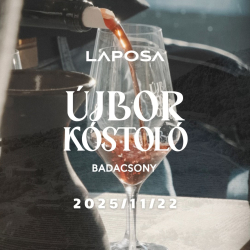 Laposa Marketing