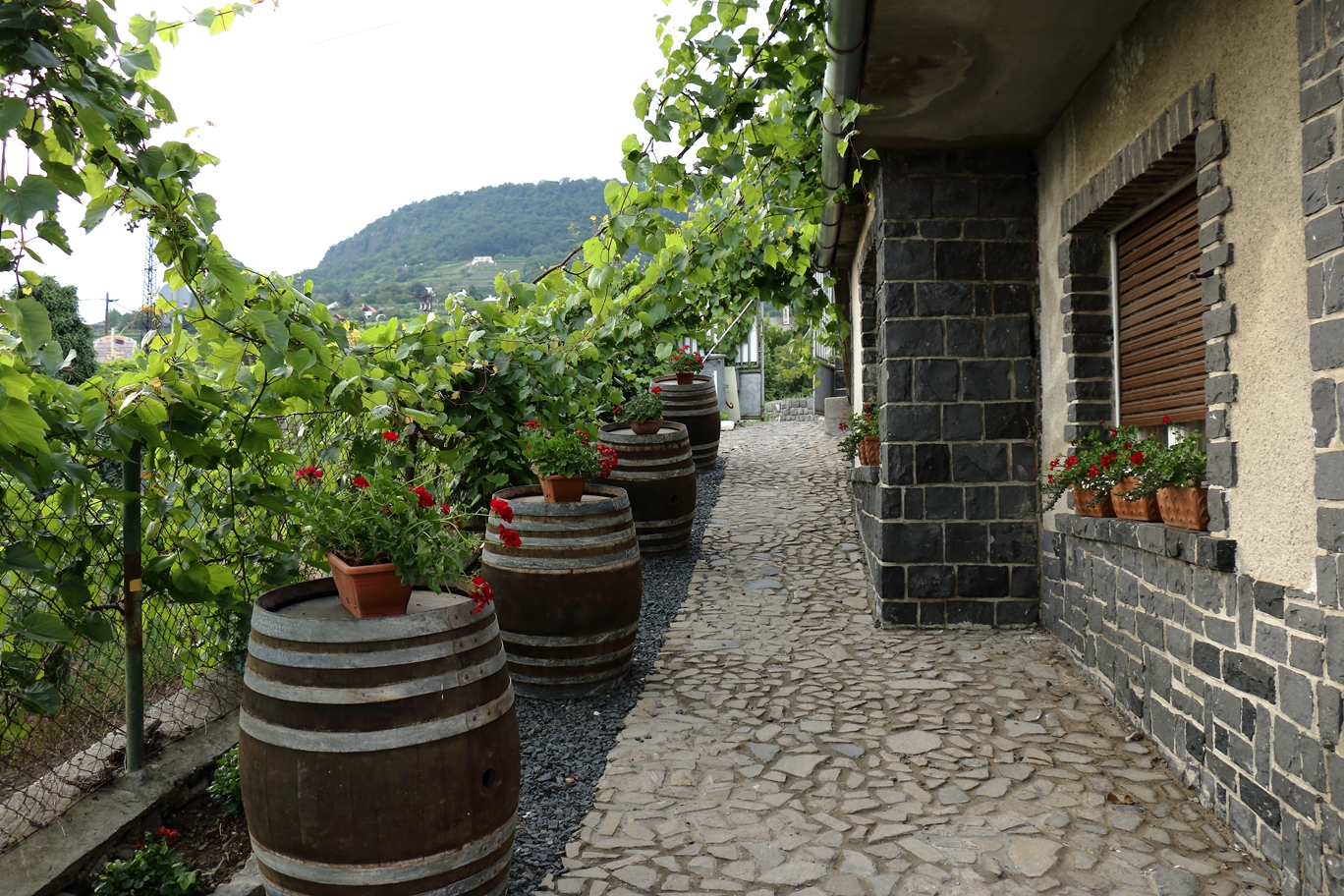 BOLLA VIDEO STUDIO - Minden jog fenntartva!www.bollavideo.hu BOLLA VIDEO STUDIO