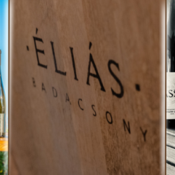 Vezetett bortúra Badacsonyban – dűlők, borok és panoráma