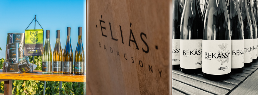 Vezetett bortúra Badacsonyban – dűlők, borok és panoráma