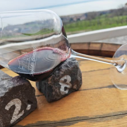 Gasztro èlvezetek a Szépkilátó Borozóban