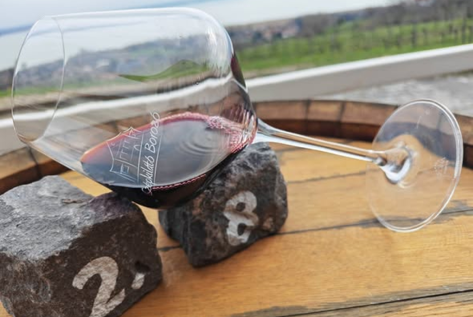 Gasztro èlvezetek a Szépkilátó Borozóban