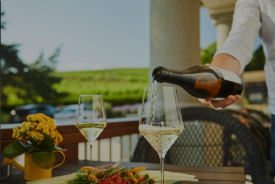 Borbarangolás Borvacsorák – Villa Tolnay Borház