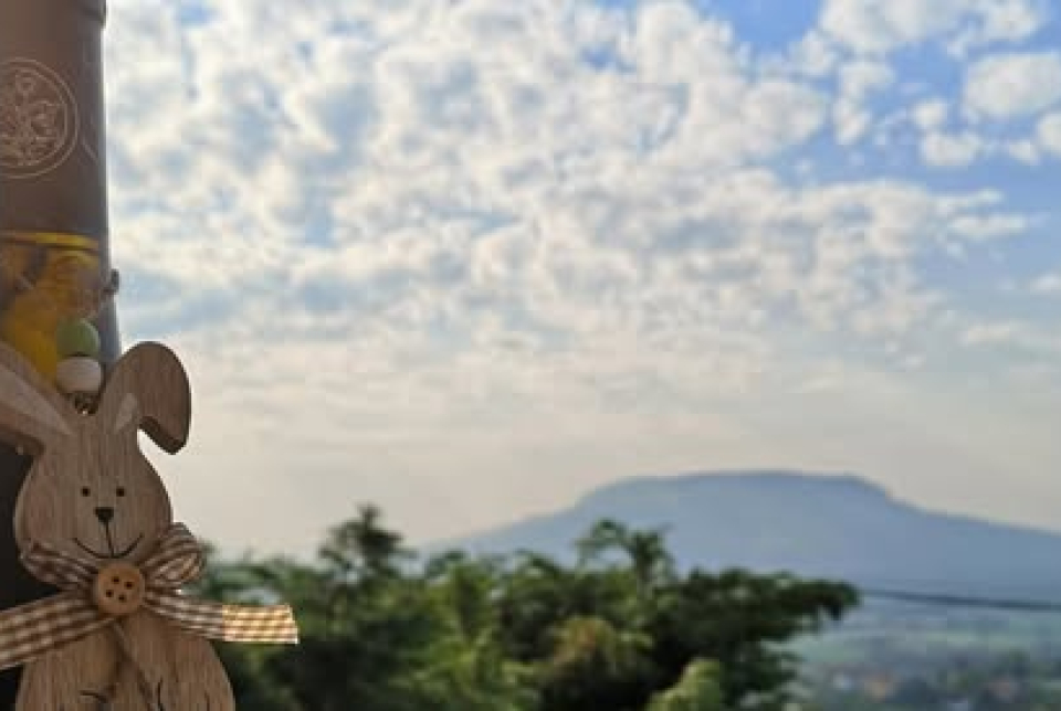 Kincsek a Trezorból-Szürkebarát különkiadás