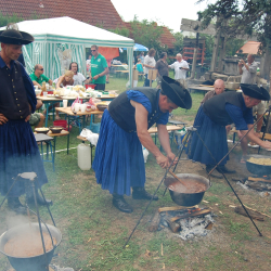 Badacsony Pinot Gris and Hungarian Grey Cattle Festival