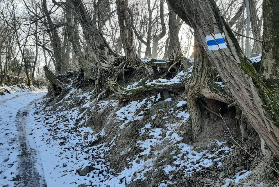 Óévbúcsúztató túra a Badacsonyon
