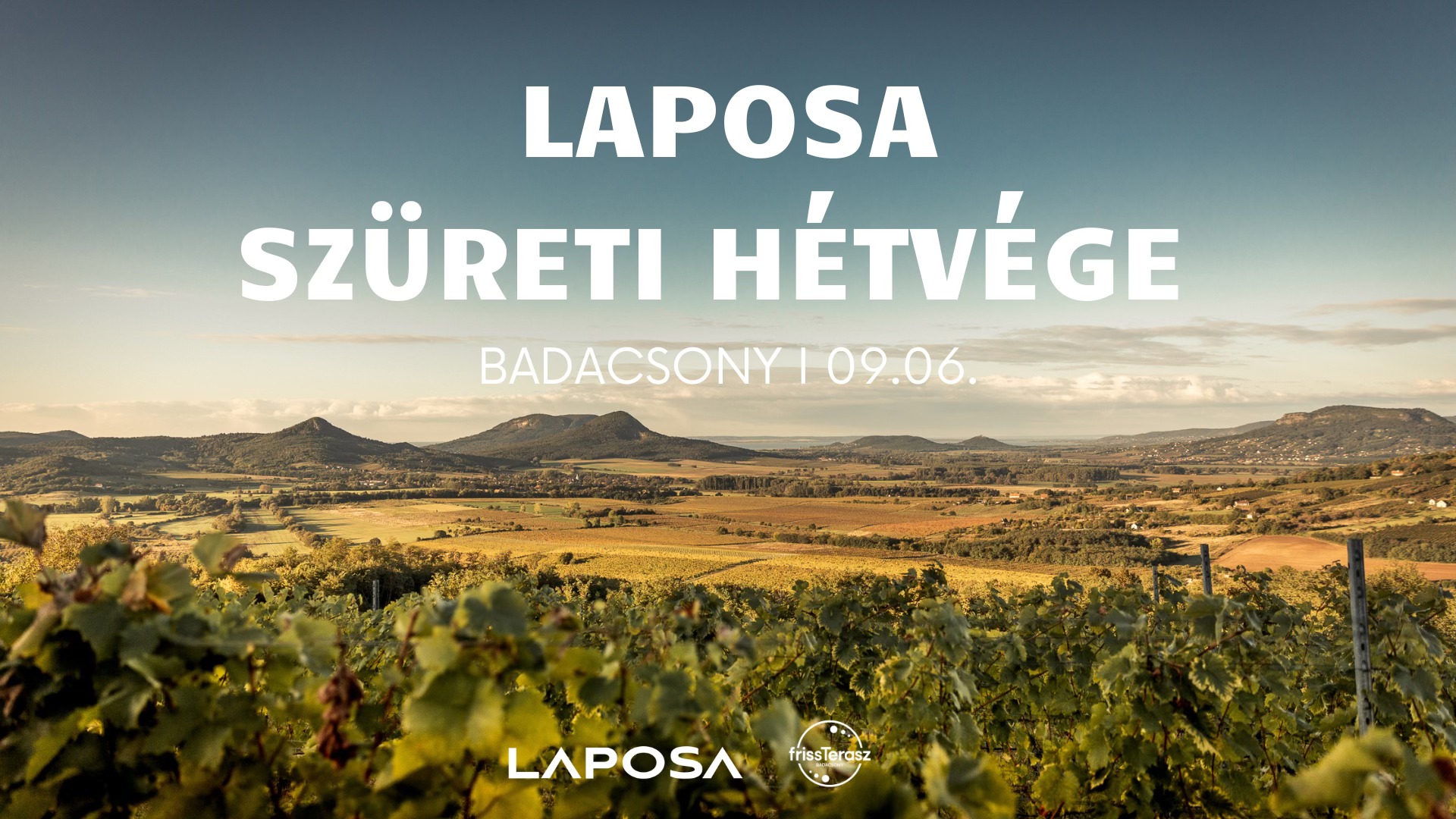 Laposa Marketing