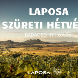Laposa Marketing