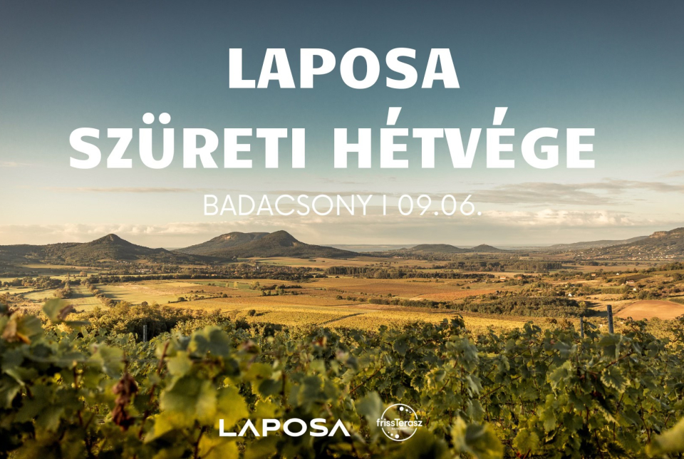 Laposa Marketing