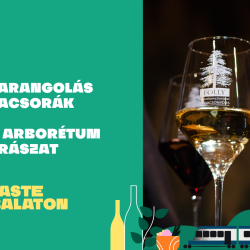 Borbarangolás borvacsorák – Folly Arborétum és Borászat