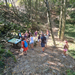 Túraútvonal a Szent György-hegyen - Badacsonyi Turisztikai és Borút Egyesület