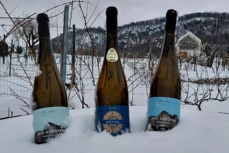 Borkóstoló az Éliás Birtokon